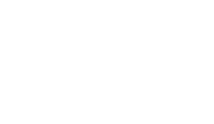 Pro F&I